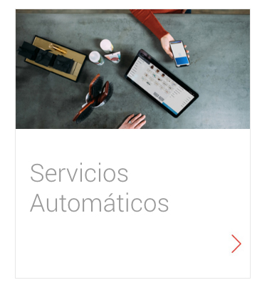 Servicios Automáticos