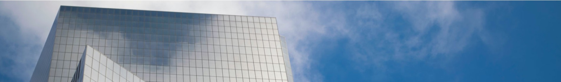 Servicios Automáticos