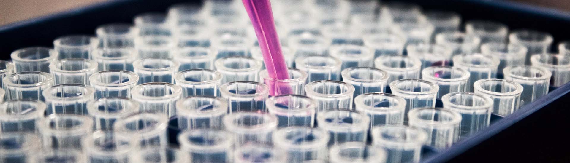 Farmacéutico y Químico